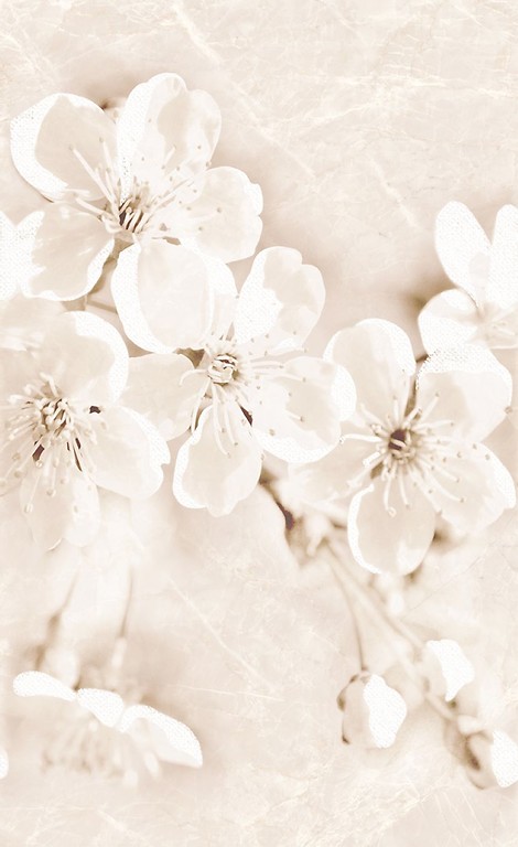 Декор Cersanit SOFI INSERTO FLOWER 25X40