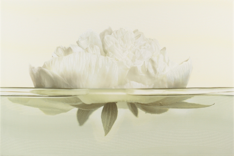 Декор Flora inserto peony