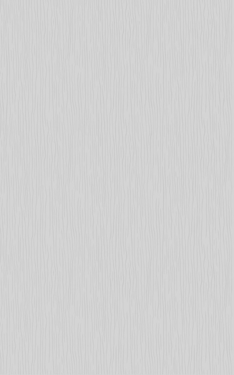 Плитка Cersanit OLIVIA LIGHT GREY 25X40